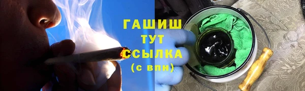 гашик Алексин