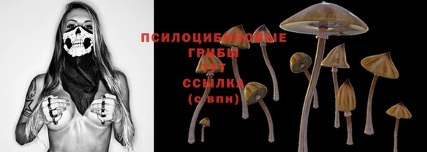 гашик Алексин