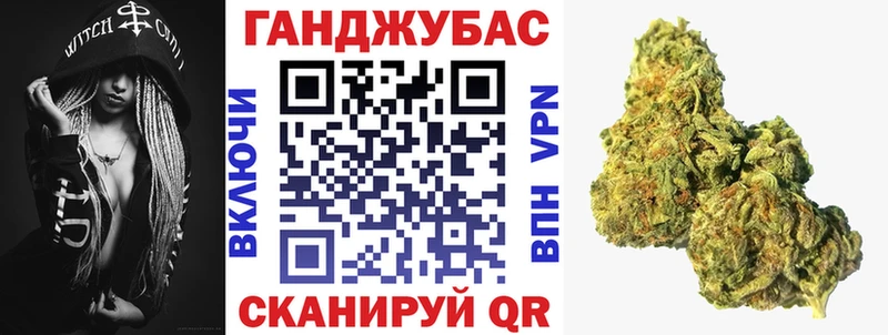 купить закладку  Гаврилов Посад  сайты даркнета наркотические препараты  Канабис план 